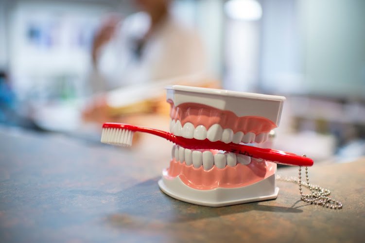 Thodas & Tran General Dentistry