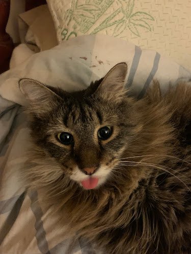 Smile Solutions – Dental Excellence – John W. Stevens, D.D.S., P.C.