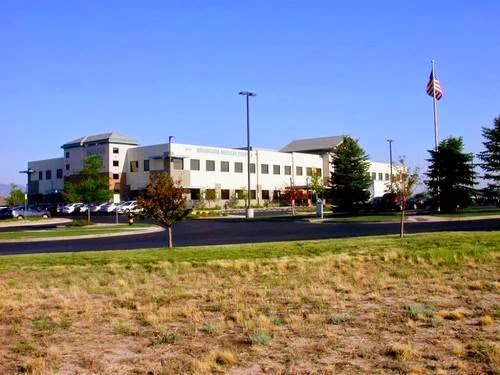 Matthew J Burton DDS