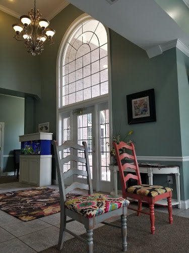 Whole Tree Dentistry