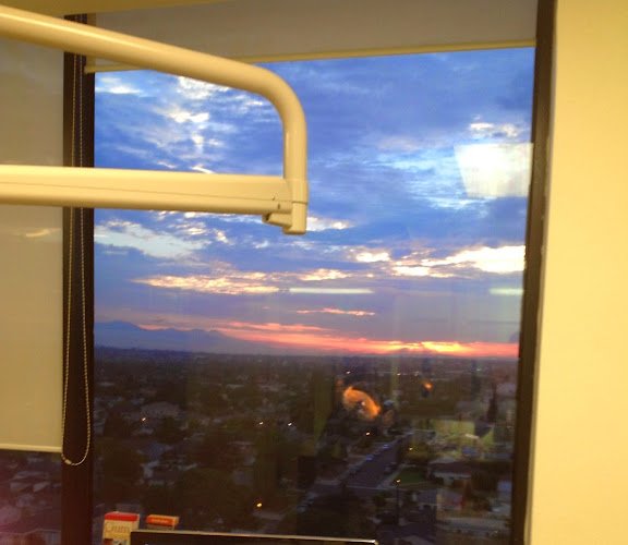 Downs Dental Corporation: David P. Downs, D.D.S.