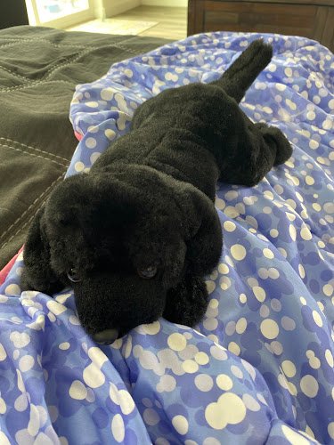 Petaluma Oral Surgery & Dental Implant Center