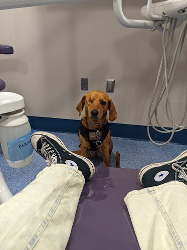 Naval Health Clinic New England – Dental