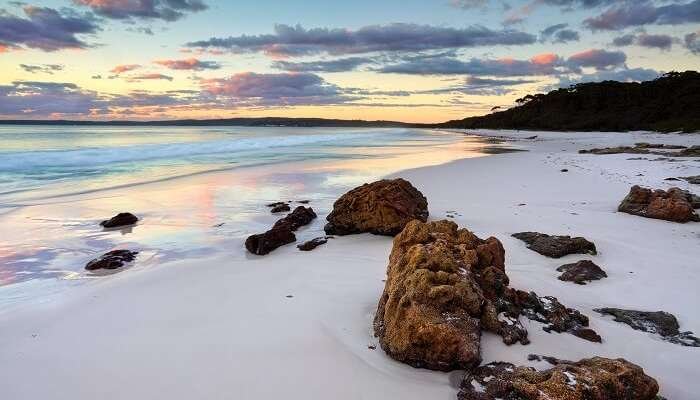 White Sands Holistic Dentistry