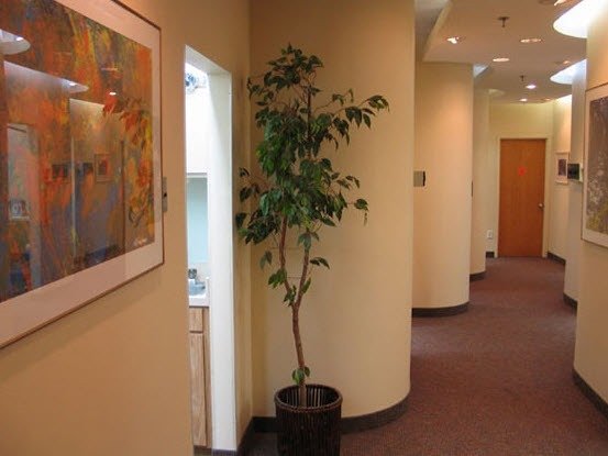 Manchester Dentistry