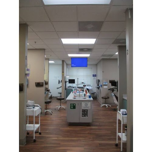 Western Dental & Orthodontics