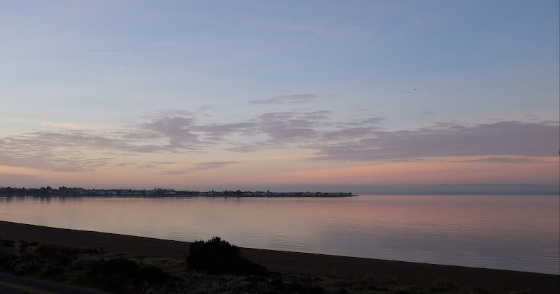 Alameda Periodontics: Connie Oh, DDS, MS