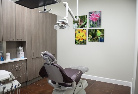 Floss & Gloss Dental
Best Dentist in Garden Grove CA