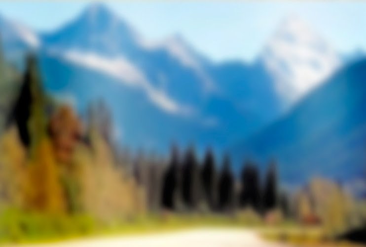 Englewood Dental Center