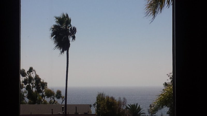 Dr. Viviane Stein, DDS