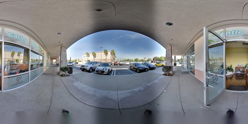 Purity and Wellness Dentistry