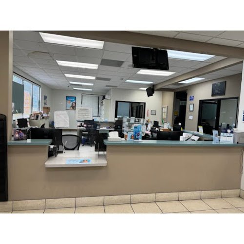 Western Dental & Orthodontics