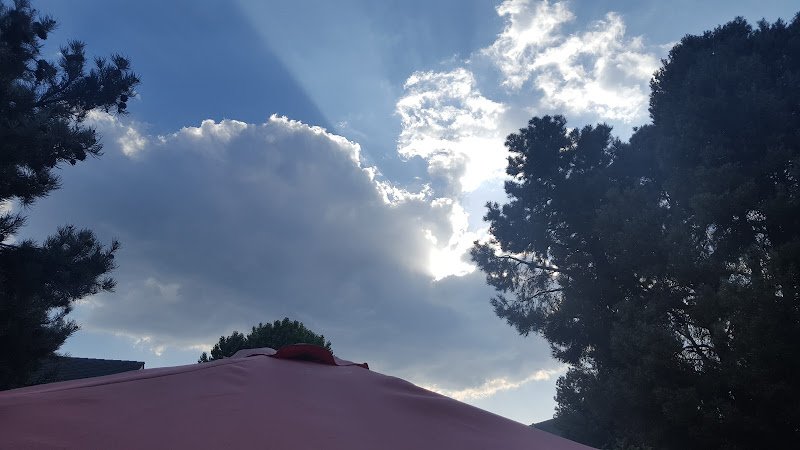 Dr Kolodner Group, Inc PMC