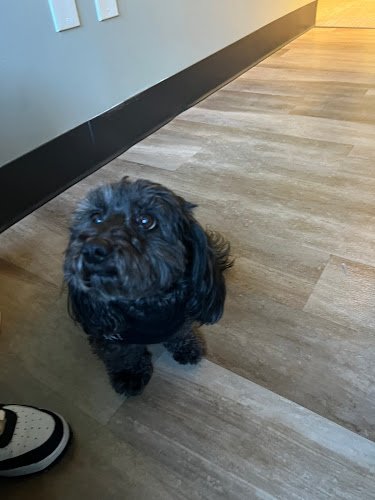 Centre For Holistic And Biological Dentistry