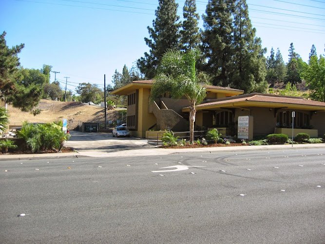 Ali Haeri DMD MHS Dentist