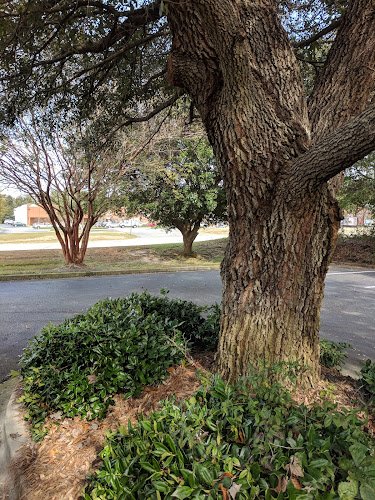 Wesmark Family Dentistry