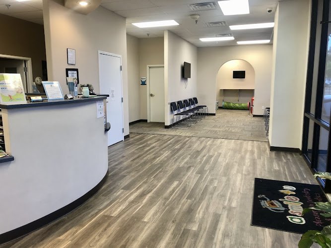 Rebel Smiles Orthodontics