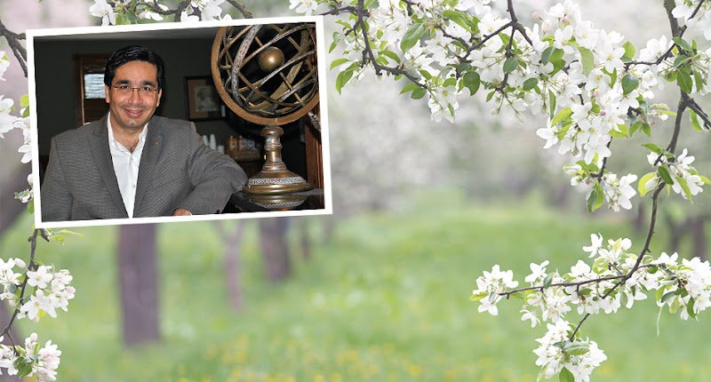 Granite State Oral Surgery: Salman A Malik DMD, MD