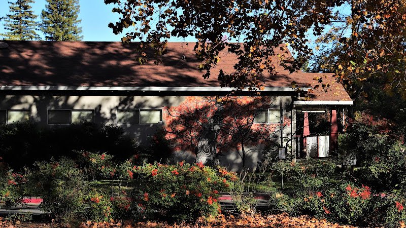 Steven C. Crowson, DMD