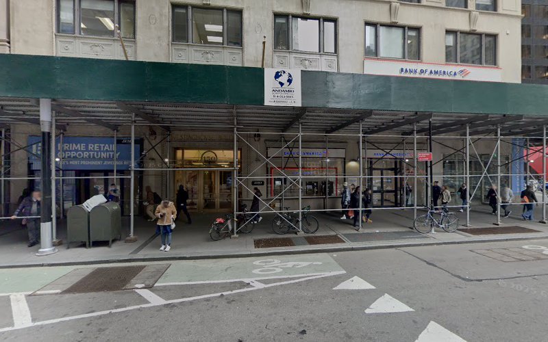 Stewart N Neidle DDS PC