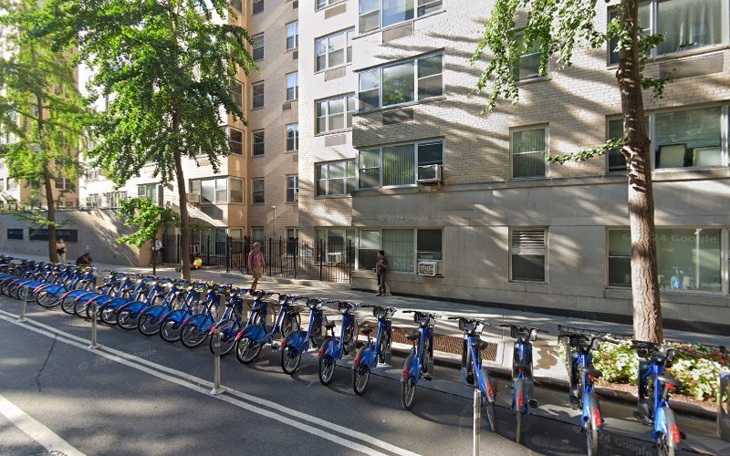 Alon M. Prywes D.M.D.