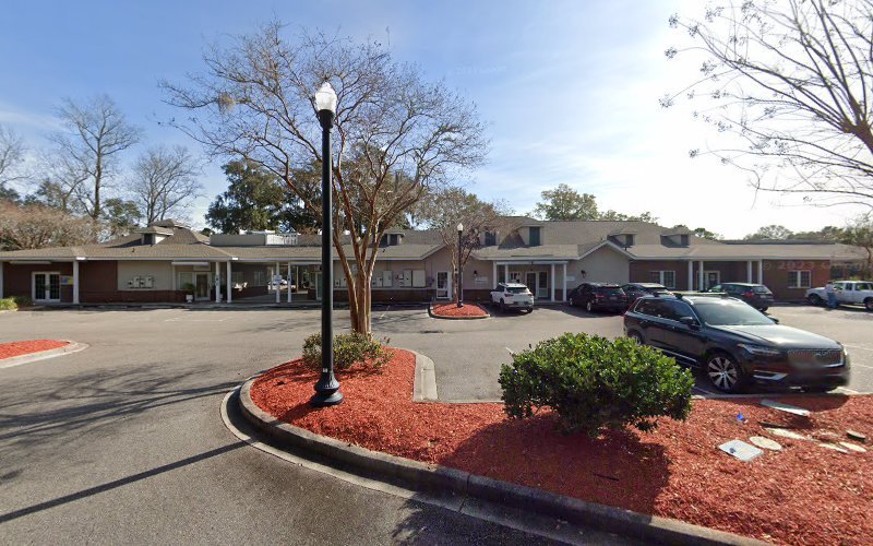 Mini Dental Implants