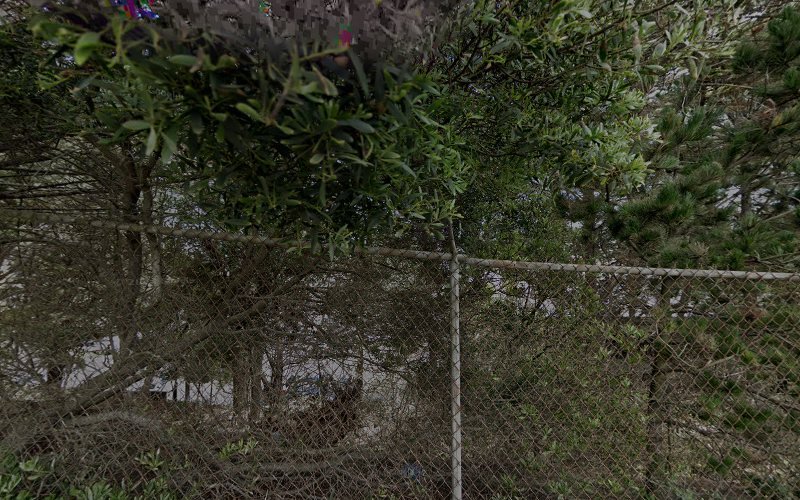 Dr. Andrew J. Morrow