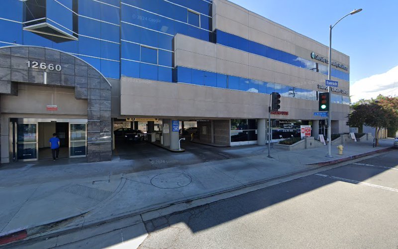 Fesharaki Amir DDS “Dynamic Endodontics”