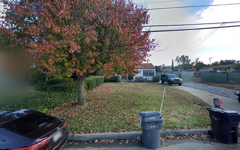 Integrated Dental Implant