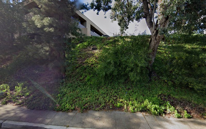 Dr. Kim J. Dipasquale, DDS