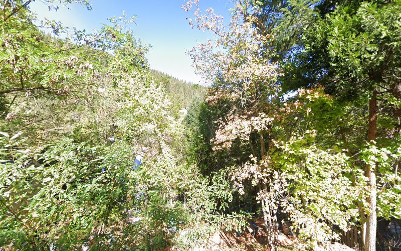 Western Sierra Dental Clinic