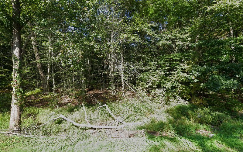 Joanne D”Angelo DMD