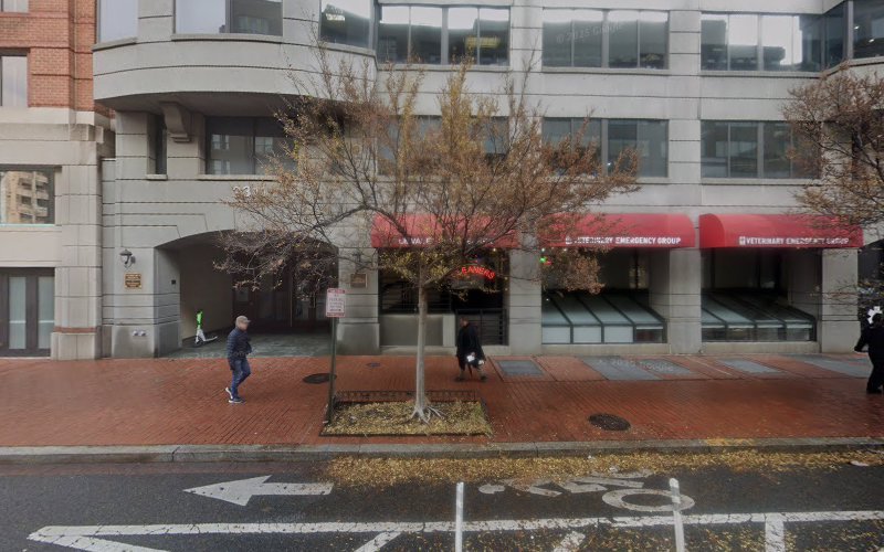 Justin D. Zalewsky, DMD, MS