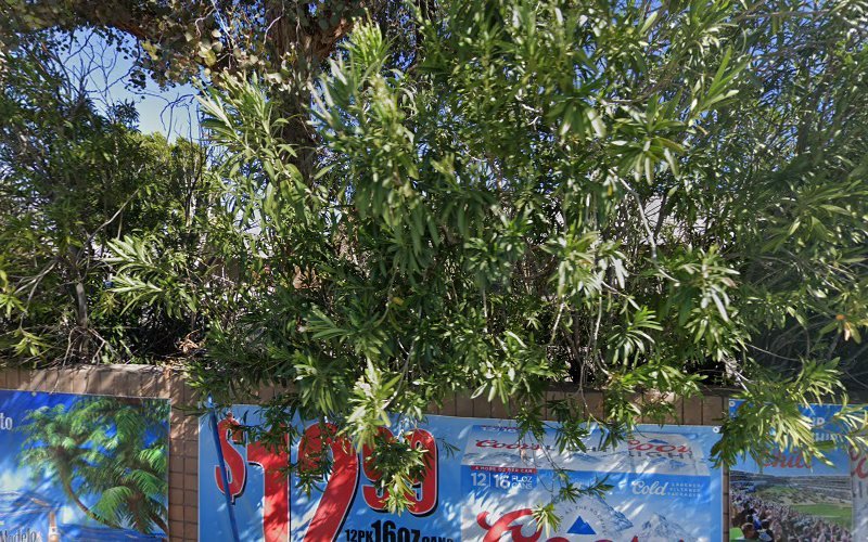 Mehranfar Dental Group