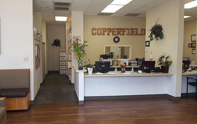 Castle Dental & Orthodontics