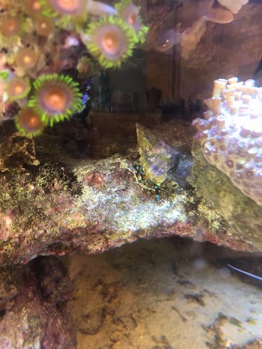 Washington Endodontics