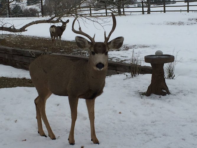 Dr. Stanley Brown Family Dentistry