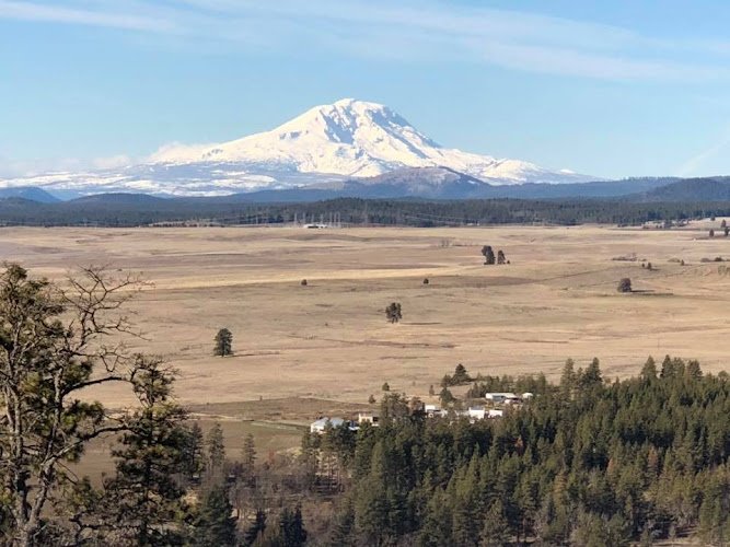 Goldendale Dental – Kent Large DMD