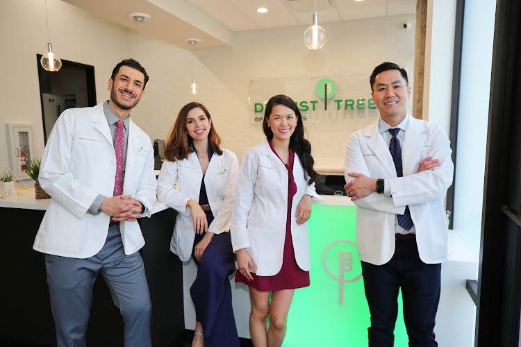 Dentist Tree Of The Heights – Dentist Houston TX
Cosmetic and Emergency Dentist