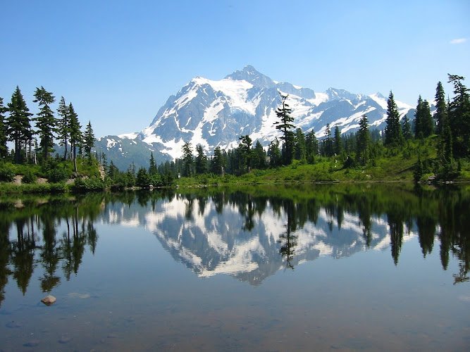 Cascadia Dental Specialists