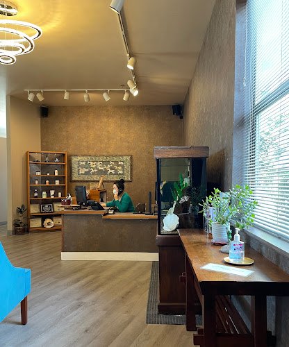 Seattle Dental Care – Biological Dental Care