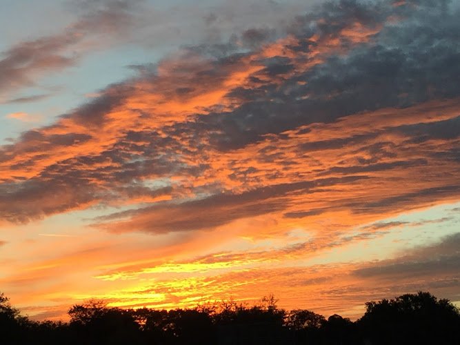 John R Burnett, III, DDS, MAGD