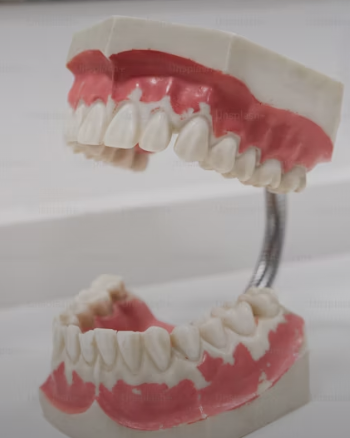 Twice as Nice Dental