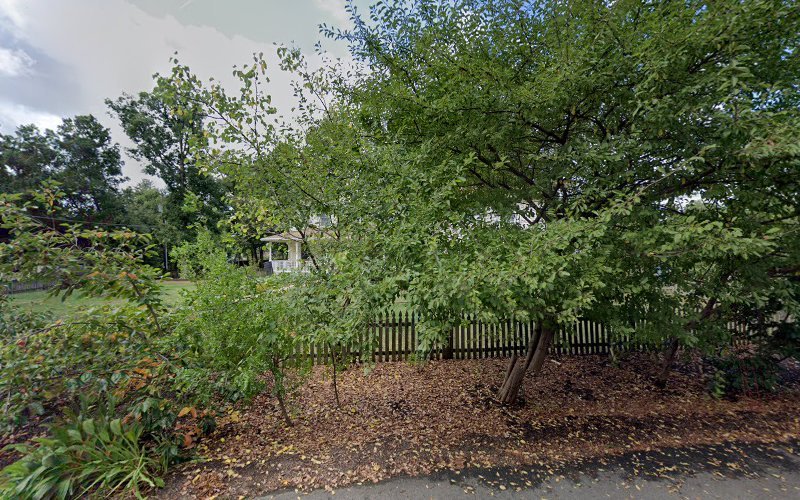 Your Dental Health Resource