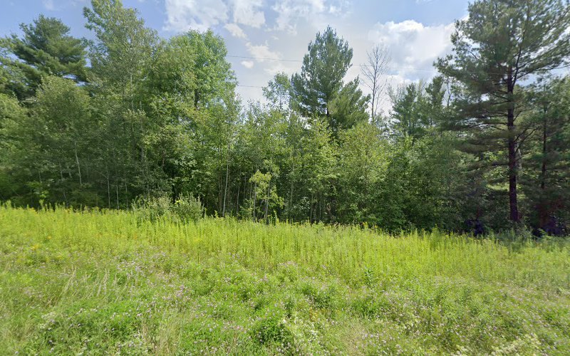 Cosmetic Arts Dental Lab